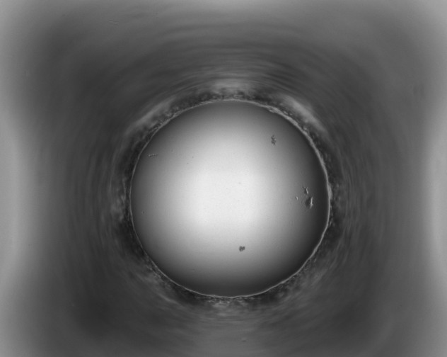 X0000086251015200704051236