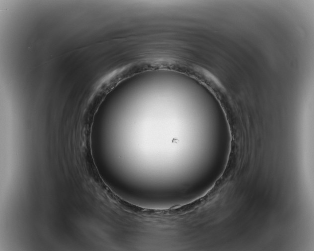 X0000086251016200704051236