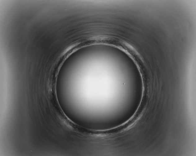 X0000086251017200704051236
