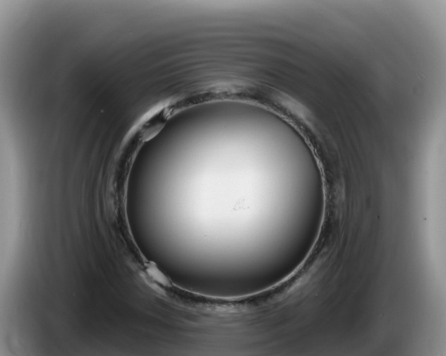 X0000086251018200704051236