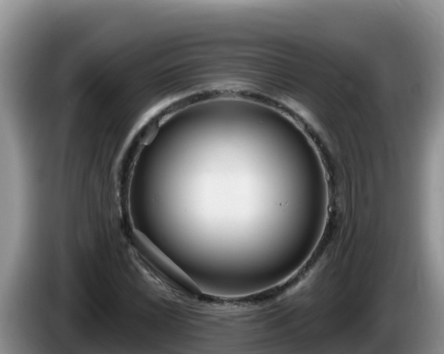 X0000086251022200704051236