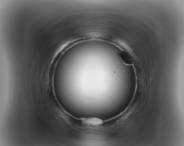 X0000086251023200704051236
