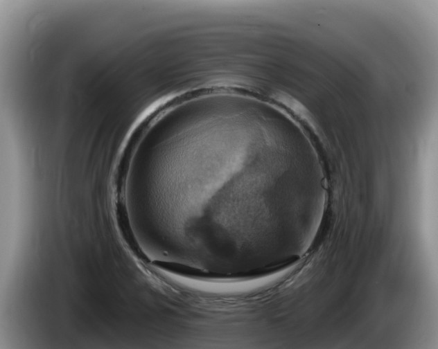 X0000086251024200704051236