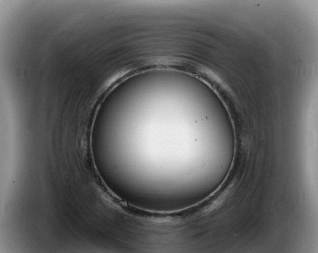 X0000086251025200704051236