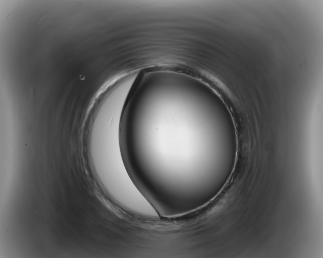 X0000086251026200704051236