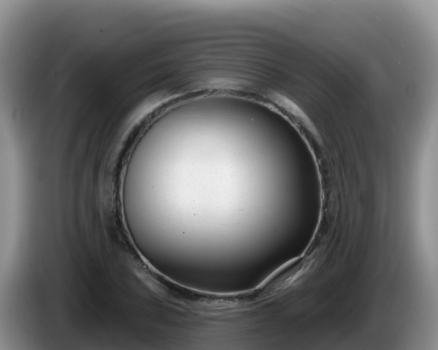 X0000086251027200704051236