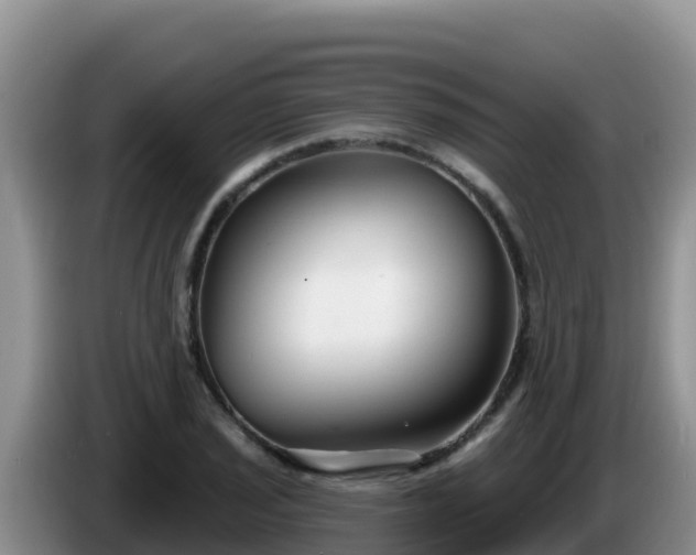 X0000086251029200704051236