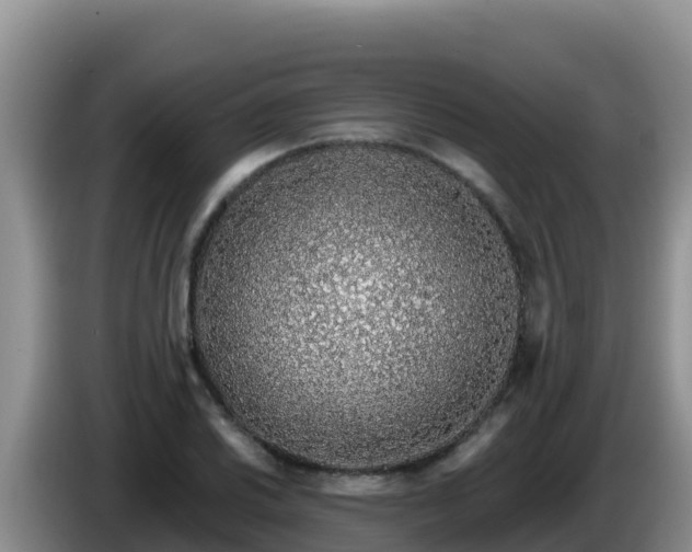 X0000086251030200704051236