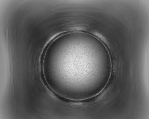 X0000086251031200704051236