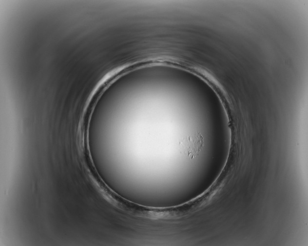 X0000086251032200704051236