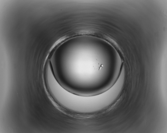 X0000086251034200704051236