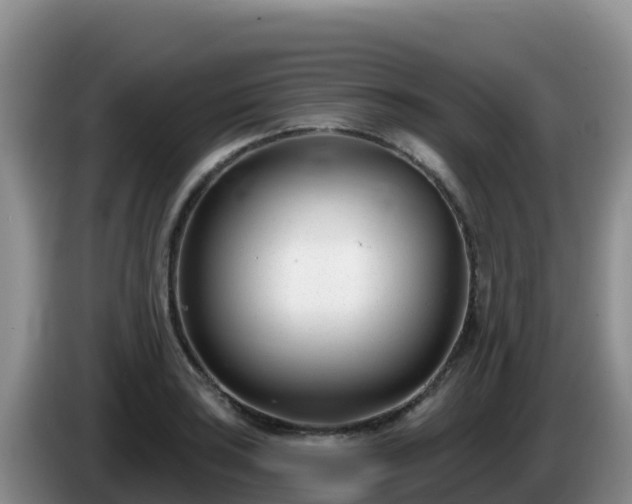 X0000086251035200704051236