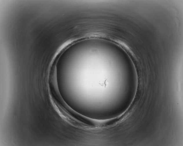 X0000086251038200704051236