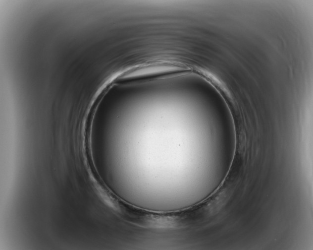 X0000086251039200704051236