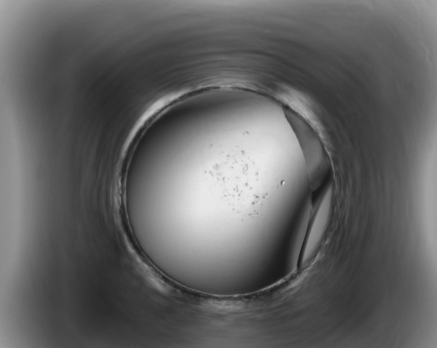 X0000086251040200704051236