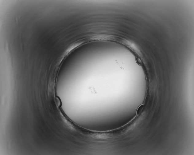 X0000086251041200704051236