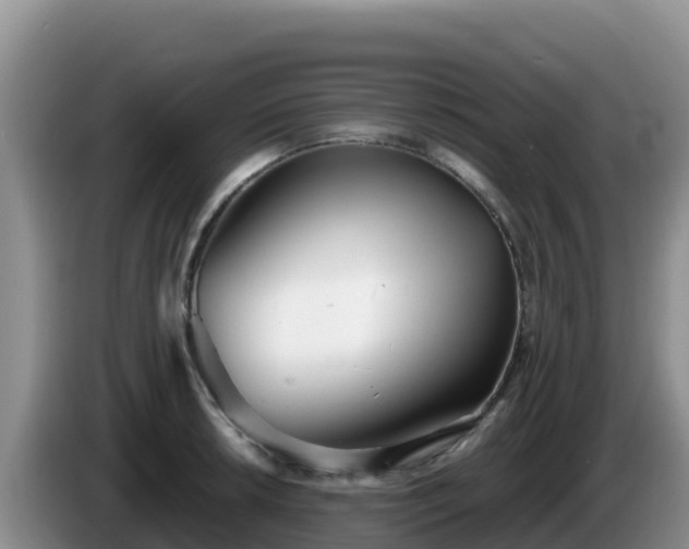 X0000086251042200704051236