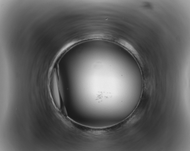 X0000086251043200704051236