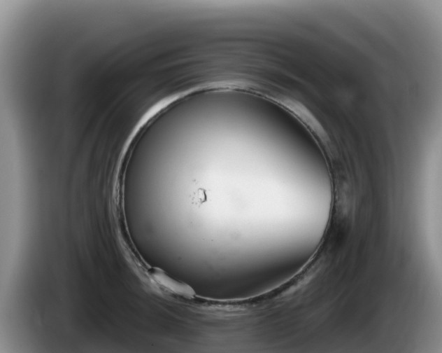 X0000086251044200704051236