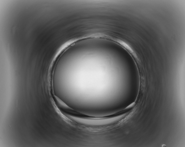 X0000086251046200704051236
