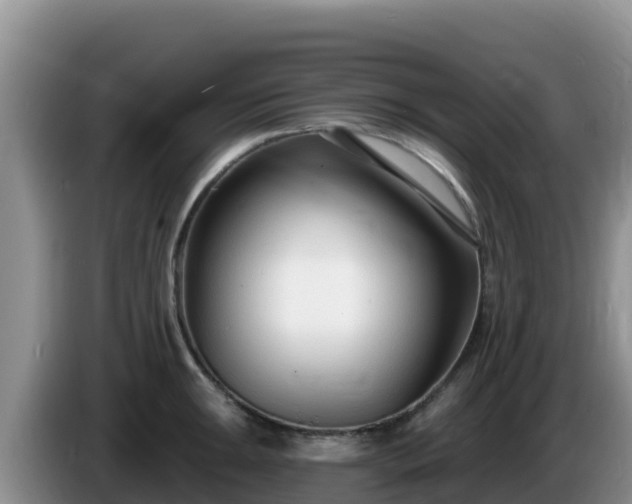 X0000086251047200704051236
