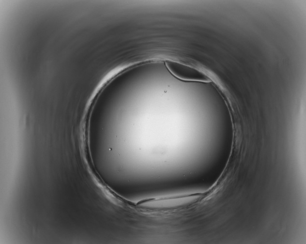 X0000086251048200704051236