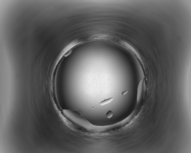 X0000086251050200704051236