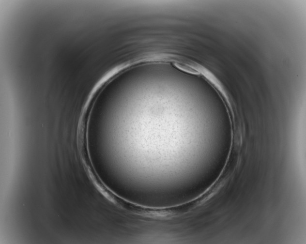X0000086251053200704051236