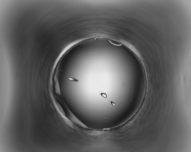 X0000086251056200704051236