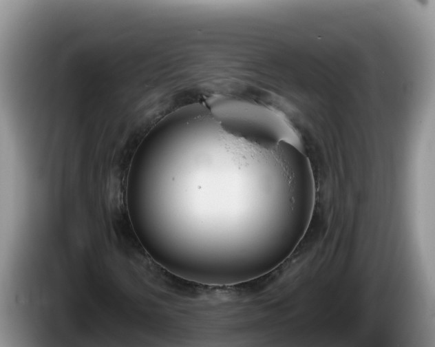 X0000086251058200704051236