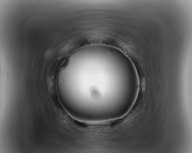 X0000086251059200704051236