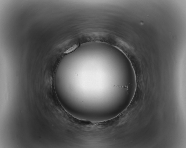 X0000086251061200704051236