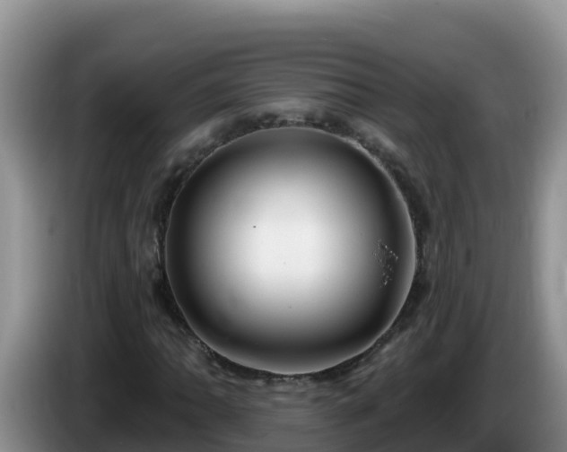 X0000086251062200704051236