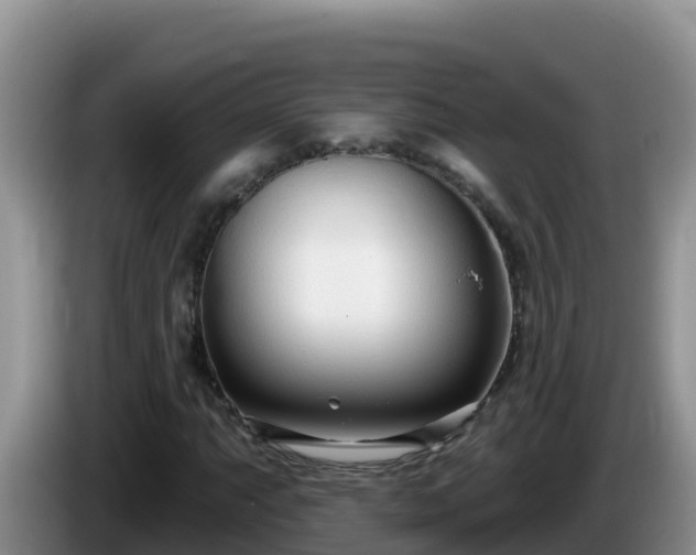 X0000086251063200704051236