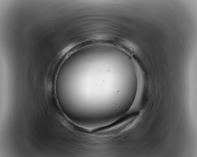 X0000086251065200704051236