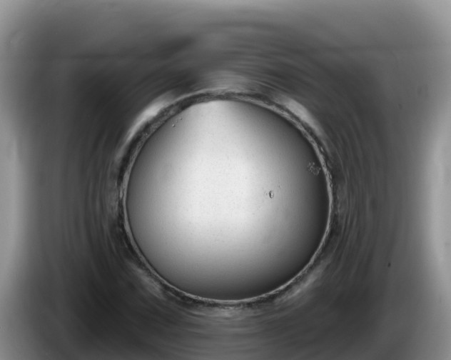 X0000086251067200704051236
