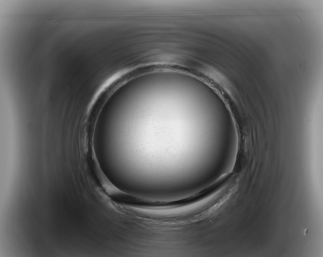 X0000086251069200704051236