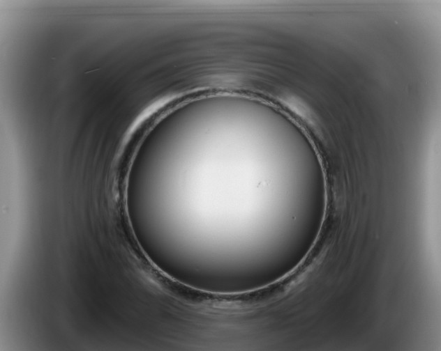 X0000086251070200704051236