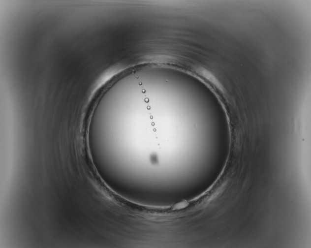 X0000086251071200704051236