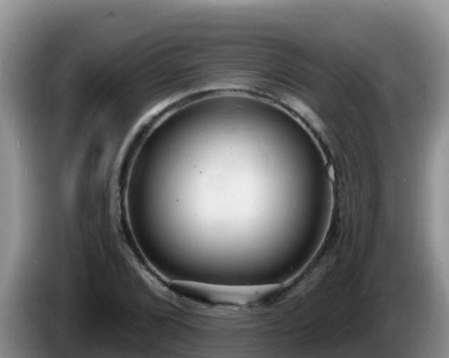 X0000086251072200704051236