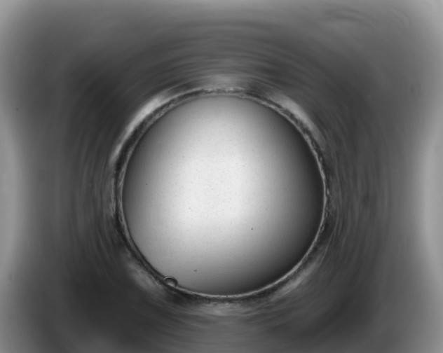 X0000086251075200704051235