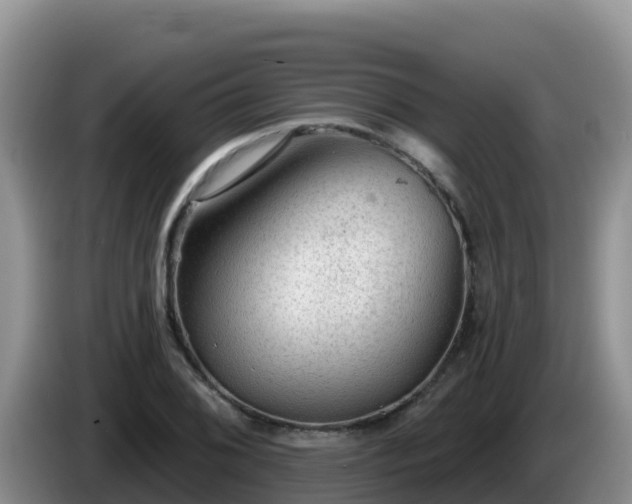 X0000086251076200704051235