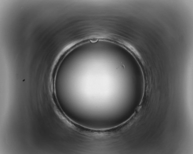 X0000086251080200704051235