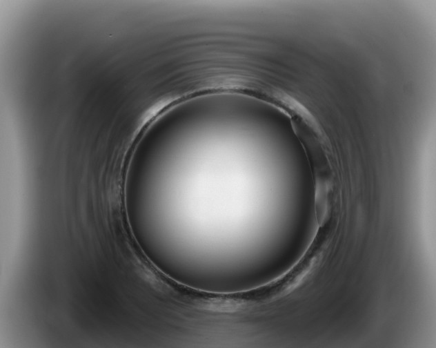 X0000086251081200704051235