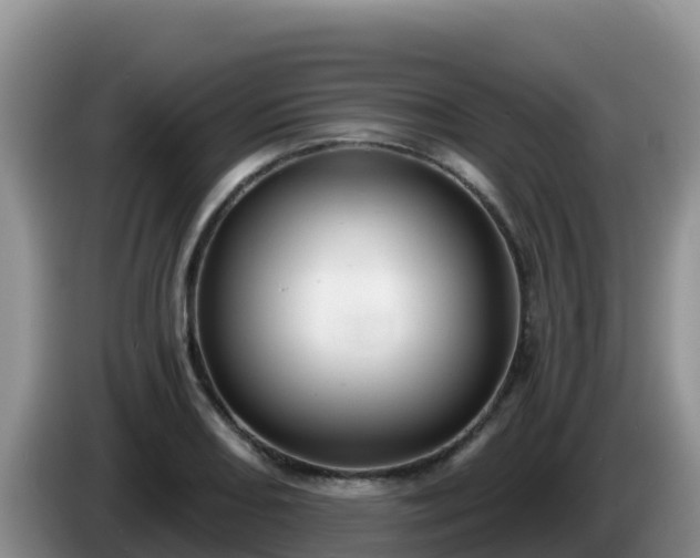 X0000086251082200704051235