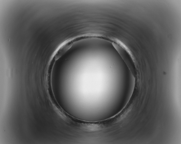 X0000086251085200704051235