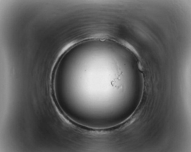 X0000086251087200704051235