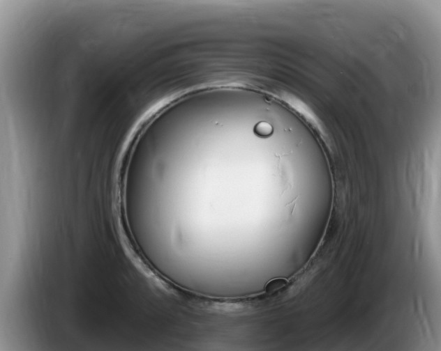 X0000086251088200704051235