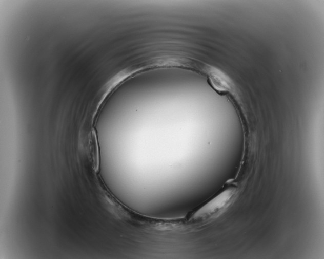 X0000086251089200704051235
