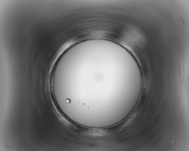 X0000086251090200704051235